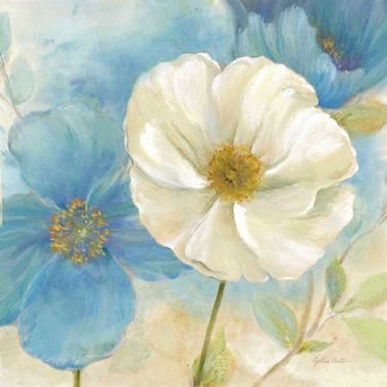 Watercolor Poppies I Poster Print by Cynthia Coulter - Item # VARPDXRB7605CC